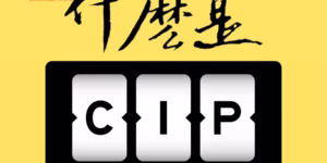 什麼是CIP？